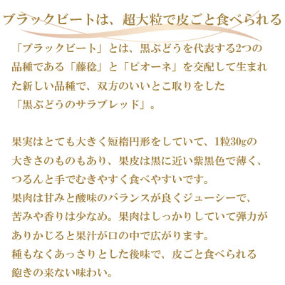 岡山県産　ブラックビート 2kg(3房〜6房) TY0-0562