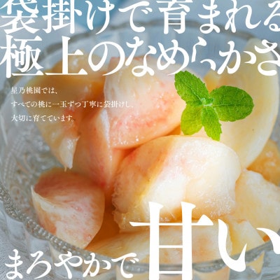 【発送月固定定期便】【人気セット】星乃フルーツ 桃+シャインマスカット全2回【配送不可地域：離島・北海道・沖縄県】【4067234】