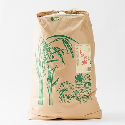 【突鉱土育ち】津山産トッコウ米(こしひかり)玄米30kg【1361987】