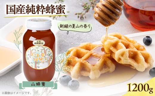 津山市産 山蜂蜜　1200g【1605230】