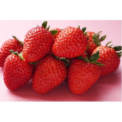 先行受付2026年1月以降発送　晴れの国おかやま新ブランド「晴苺」化粧箱入り2パック【配送不可地域：離島・北海道・沖縄県】【1444423】