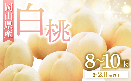 ◆先行受付◆　岡山県産　岡山白桃8〜10玉　2026年発送【配送不可地域：離島・北海道・沖縄県】【1349776】