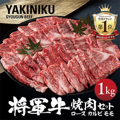 【将軍牛】特選焼肉セット ロース カルビ もも 3種類 1kg【配送不可地域：離島・北海道・沖縄県】【1652120】