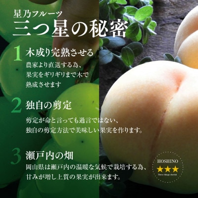 【発送月固定定期便】【人気セット】星乃フルーツ 桃+シャインマスカット全2回【配送不可地域：離島・北海道・沖縄県】【4067234】