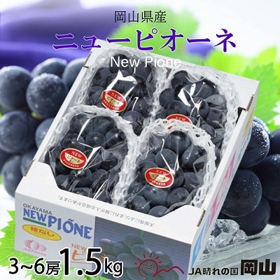 【2025年8月より発送】岡山県産　ニューピオーネ　1.5kg(3房〜6房)【配送不可地域：離島・北海道・沖縄県】【1365856】