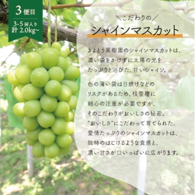 【発送月固定定期便】【2026年先行予約】桃、ピオーネ、シャインマスカット定期便 (岡山県産)全3回【配送不可地域：離島】【4078169】