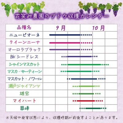 【2026年先行受付】岡山　花笑み農園の『ニューピオーネ』1kg(2房)　P-1【配送不可地域：離島・北海道・沖縄県】【1628315】
