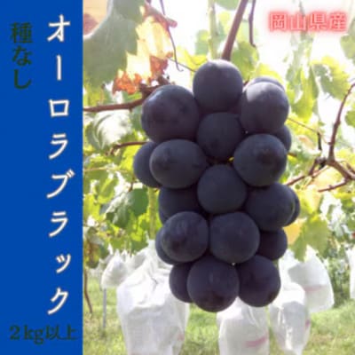 【2026年先行予約】岡山のぶどう(オーロラブラック)2kg(4〜5房)【配送不可地域：離島】【1700846】