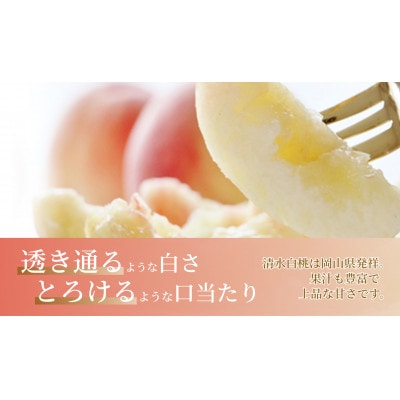 《2026年発送》岡山県産清水白桃 1.5kg 5〜7玉【配送不可地域：離島・北海道・沖縄県】【1736763】