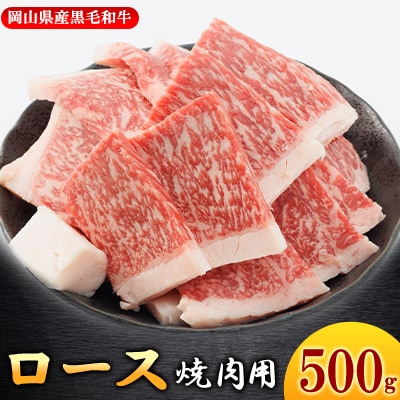 【岡山県産黒毛和牛】ロース　500g　(焼肉用)【配送不可地域：離島】【1434330】