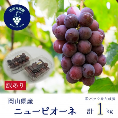 【2026年先行受付】岡山　花笑み農園の 『訳ありニューピオーネ』1kg　WP-1【配送不可地域：離島・北海道・沖縄県】【1628312】