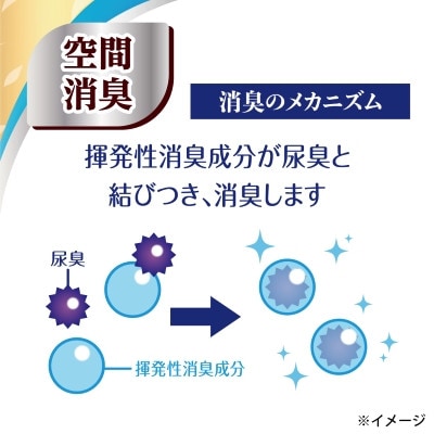 【毎月定期便】エリエール消臭+トイレットティシュー ダブル 72ロール(12ロール×6パック)全2回【配送不可地域：離島・北海道・沖縄県】【4067780】