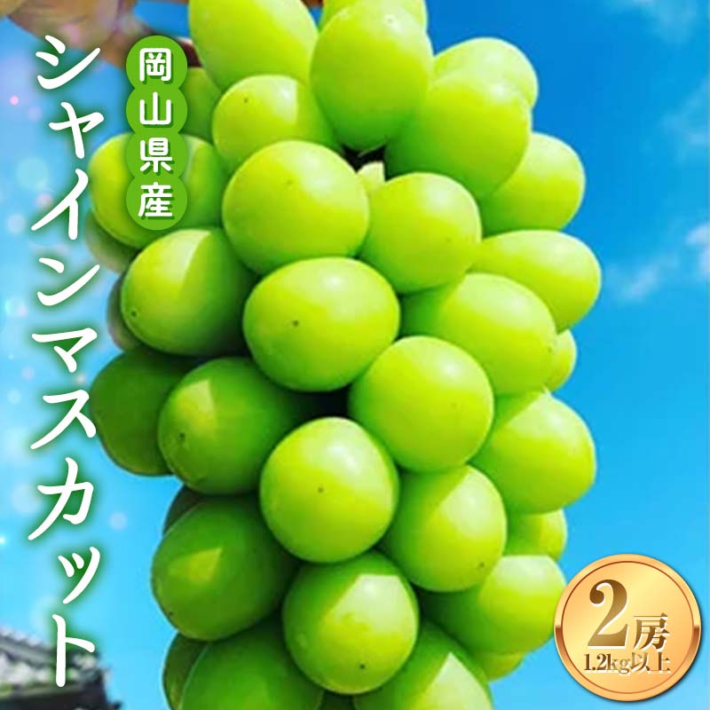 【2025年9月上旬発送 先行予約】岡山県産シャインマスカット2房入1,2kg以上 ぶどう シャインマスカット フルーツ 果物 TY0-0535