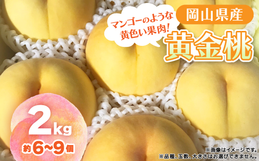 【2026年先行予約】8月上旬頃より発送予定・岡山県産・マンゴーの様な黄色い桃・黄金桃(2kg箱)【配送不可地域：離島】【1484604】