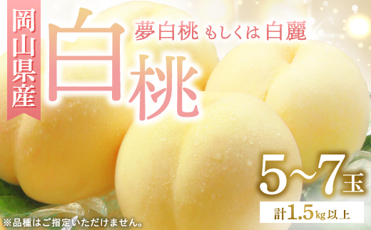 ◆先行受付◆　岡山県産　岡山白桃5〜7玉(2)　2026年発送【配送不可地域：離島・北海道・沖縄県】【1349775】