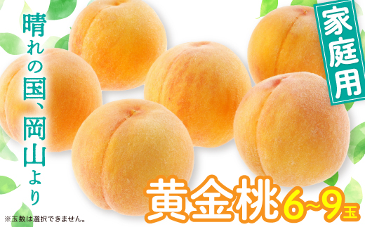 黄金桃(ご家庭用)6〜9玉入り　【2025年8月末頃より発送予定】【配送不可地域：離島】【1460796】