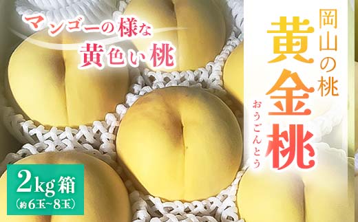 【2024年8月上旬より順次発送予定】岡山県産・マンゴーの様な黄色い桃・黄金桃(2kg箱) TY0-0326