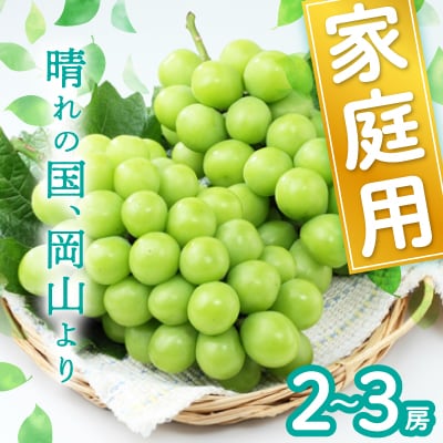 岡山県産シャインマスカット(ご家庭用)【2025年9月中旬以降発送予定】【配送不可地域：離島】【1461027】