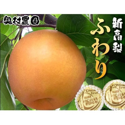 《2026年9月中旬より順次発送》 新高梨 ふわり(6玉入り)【配送不可地域：離島】【1619639】