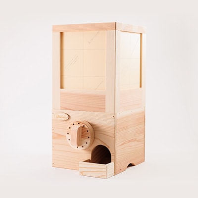 木のガチャガチャ　イベント使用品 新商品紹介】 ・ヒノキの木ガチャ（木のメダル30枚付き） ［商品