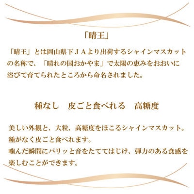 【2026年8月下旬より発送】ご家庭用　岡山県産　シャインマスカット　晴王　500g×2房【配送不可地域：離島】【1409725】