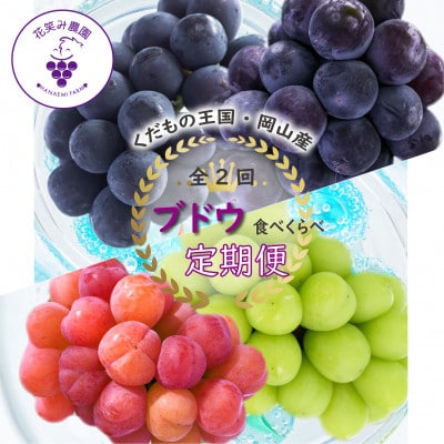 【発送月固定定期便】岡山　花笑み農園のブドウ食べ比べ　全4種全2回【配送不可地域：離島】【4082284】