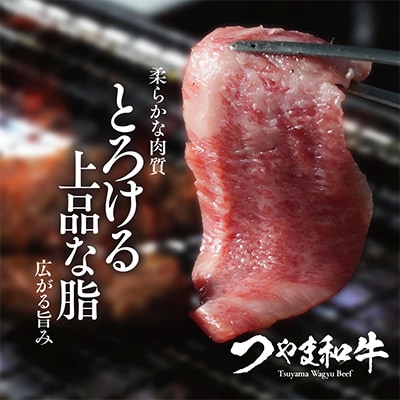 つやま和牛焼肉セット(3〜4人用)800g【配送不可地域：離島】【1400921】