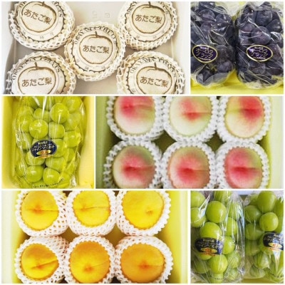 【発送月固定定期便】岡山県産  フルーツ定期便全6回【配送不可地域：離島】【4078587】