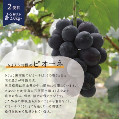 【発送月固定定期便】【2026年先行予約】桃、ピオーネ、シャインマスカット定期便 (岡山県産)全3回【配送不可地域：離島】【4078169】