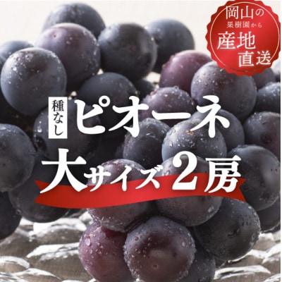 【2026年先行予約】ピオーネ 甘さも濃厚 大サイズ2房入 家庭用(岡山県産)【配送不可地域：離島】【1535984】