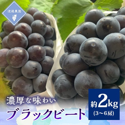 【先行予約 2026年発送】岡山県産　アントシアニン豊富な　ブラックビート3房〜6房(合計約2kg)【配送不可地域：離島】【1562227】