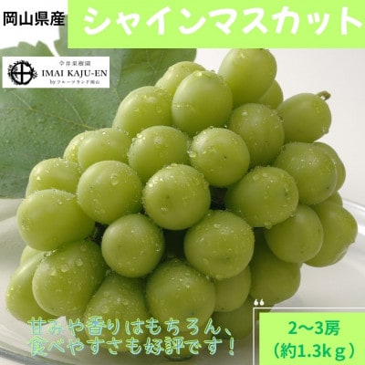 【2026年発送】岡山県産シャインマスカット　約1.3kg・2〜3房(クール便)【配送不可地域：離島】【1614355】