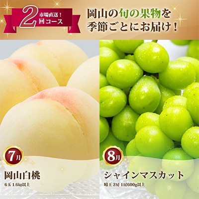 ãçºéæåºå®å®æäŸ¿ã岡山çç£ çœæ¡ã»ã·ã£ã€ã³ãã¹ã«ãã(æŽç)å
š2åãé
éäžå¯å°åïŒé¢å³¶ã»åæµ·éã»æ²çžçãã4006681ã