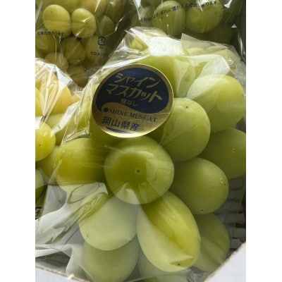 【先行予約 2026年発送】岡山県産　シャインマスカット　3房〜6房(合計約2kg)【配送不可地域：離島】【1562256】