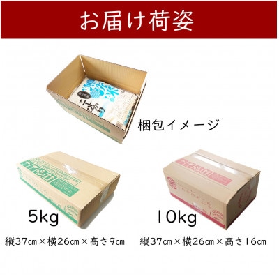 ãç¡æŽç±³ã什å7å¹Žç£ å²¡å±±çç£ ææ¥ 5kgÃ2è¢(åèš10kg)ã1717515ã