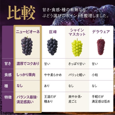 譏滉ケ繝斐が繝シ繝 3謌ソ縲5謌ソ(2kg莉・荳)縲宣埼∽ク榊庄蝨ー蝓滂シ夐屬蟲カ縲代1740015縲