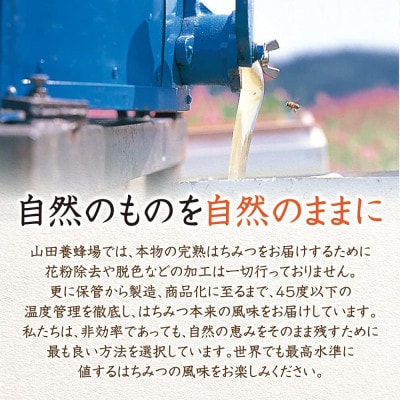 百花蜂蜜(キューバ産)300g(12655)【1702898】