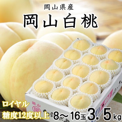 【先行受付】岡山白桃 ロイヤル 8〜16玉 3.5kg 岡山県産【配送不可地域：離島・北海道・沖縄県】【1424431】