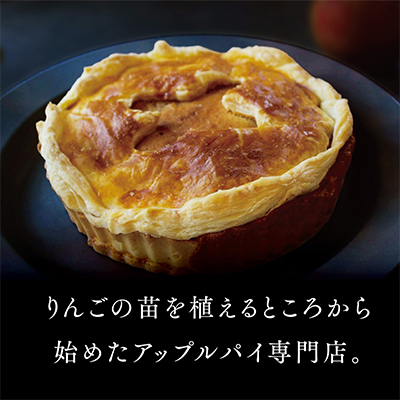 繧ッ繝ゥ繧キ繝繧ッ繧「繝繝励Ν繝代う縲宣埼∽ク榊庄蝨ー蝓滂シ夐屬蟲カ縲代1331462縲