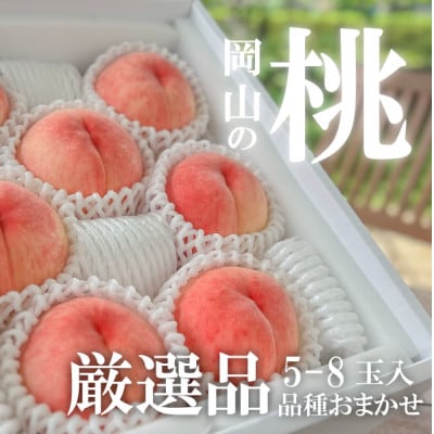 【2026年先行予約】【厳選品】旬の桃(品種おまかせ) 5-8玉入(岡山県産)【配送不可地域：離島】【1571586】