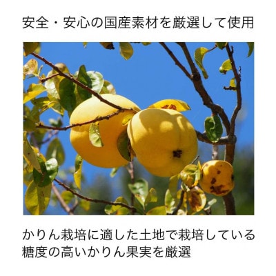 かりんはちみつ漬×4本(21187)【1030504】