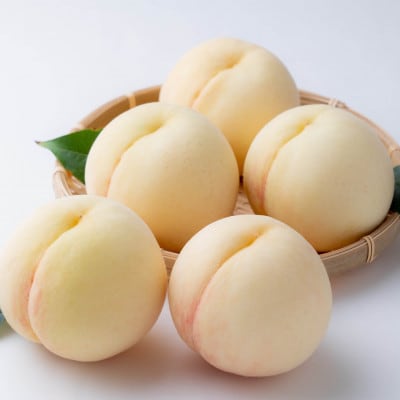 ã2026幎çºéããå®¶åºçšãçœæ¡(æ©ççš®)ã çŽ1.5kg(5ã6ç)ãé
éäžå¯å°åïŒé¢å³¶ãã1614305ã