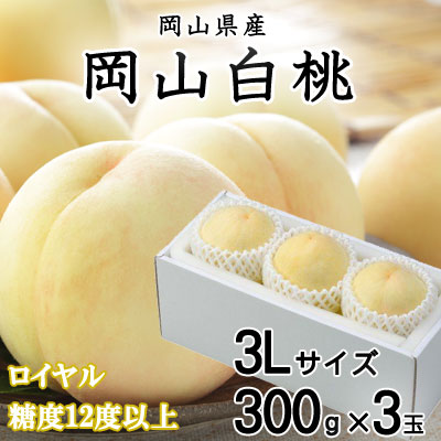 岡山白桃 ロイヤル 3玉×300g(3Lサイズ) 岡山県産 TY0-0566