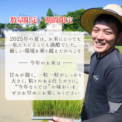 2025年新米【コシヒカリ 玄米5kg】|-comeback未来ce-【1690930】