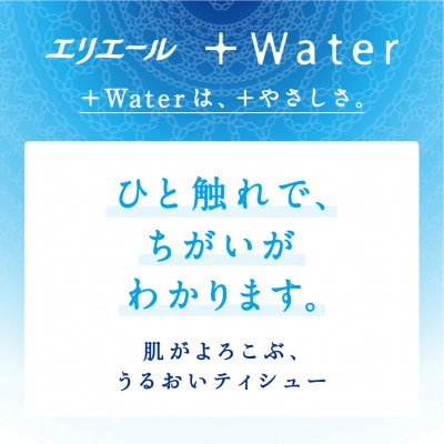 繧ィ繝ェ繧ィ繝シ繝ォ+Water繝繧」繧キ繝・繝シ180W5P縲1681084縲