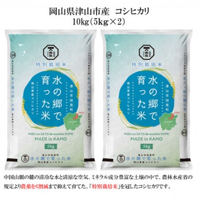 【岡山県津山市加茂町産】水の郷で育った米10kg(特別栽培米コシヒカリ)【1352223】