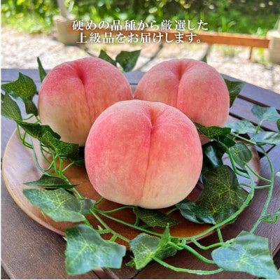 【2026年先行予約】「硬めの桃好きさん」におすすめ! 硬め桃 上級品 5-7玉(岡山県産)【配送不可地域：離島】【1696634】