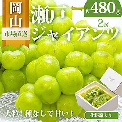 【先行受付】岡山県産　瀬戸ジャイアンツ2房　(1房480g以上)合計約1kg　化粧箱入り【配送不可地域：離島・北海道・沖縄県】【1357578】