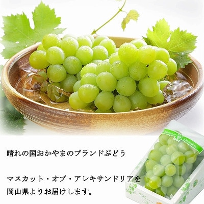 【2026年6月下旬より順次発送】岡山県産 マスカット・オブ・アレキサンドリア 600g×1房【配送不可地域：離島・北海道・沖縄県】【1362223】