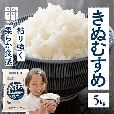おいしいお米(5kg) 無洗米 リピーター続出 きぬむすめ【1184608】